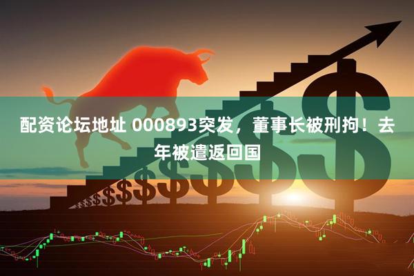 配资论坛地址 000893突发，董事长被刑拘！去年被遣返回国