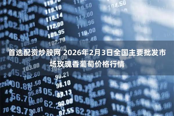 首选配资炒股网 2026年2月3日全国主要批发市场玫瑰香葡萄价格行情